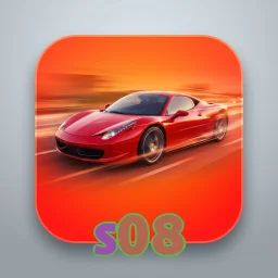s08